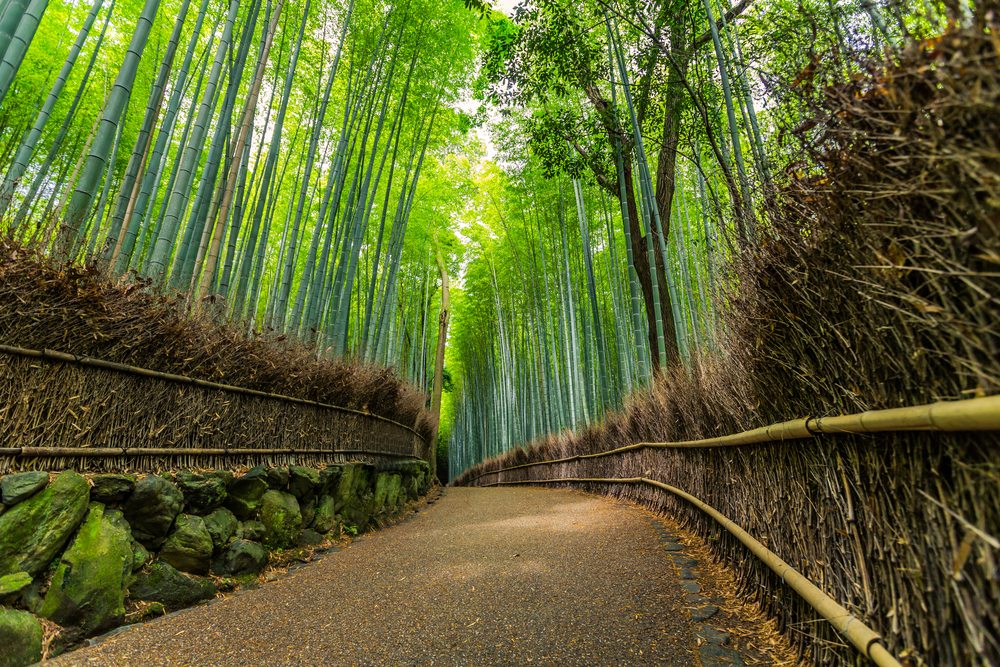 Why the Japanese should be more like the British