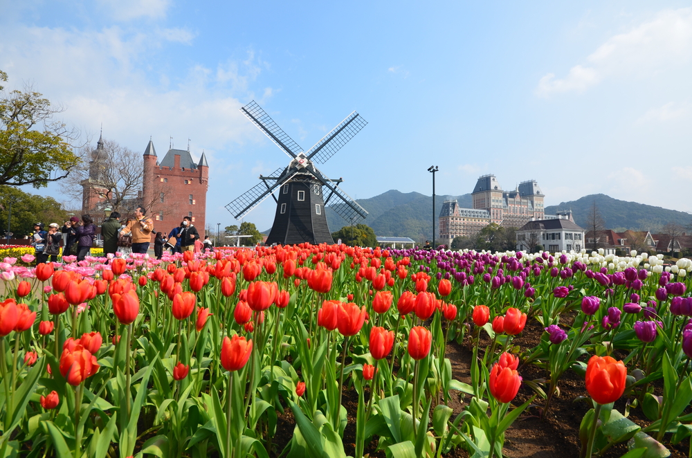 Amsterdam is first choice for Japanese companies’ regional HQ in Europe post Brexit