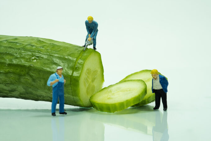 Sakata acquires Dutch company Sana Seeds