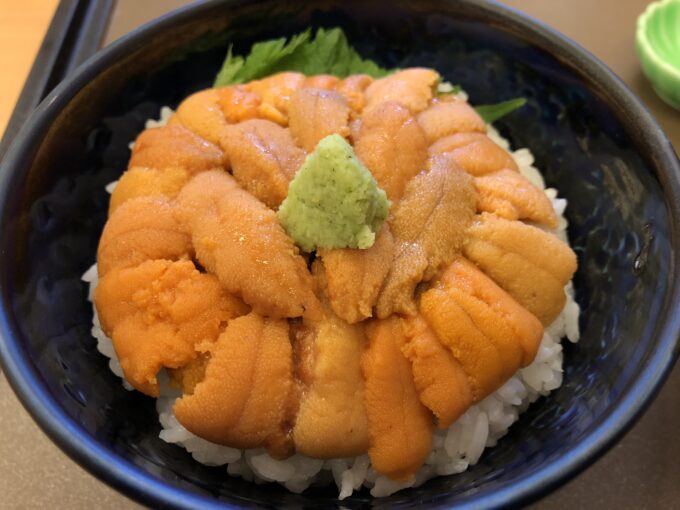 Japanese shipping company NYK to invest in British-Irish sea urchin farming and biodiversity venture